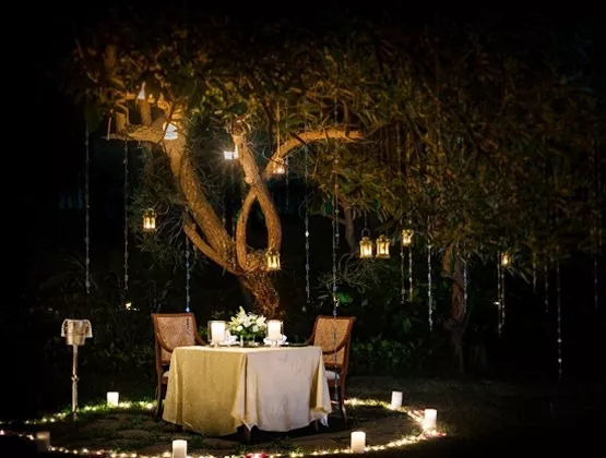 Dine Under The Stars